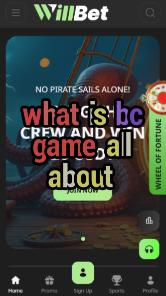 What is BC Game All About? Full Overview-vz72fvrf.com