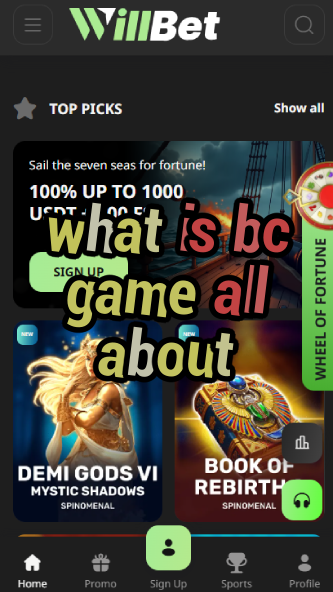 What is BC Game All About? Full Overview-vz72fvrf.com