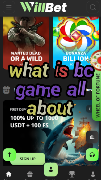 What is BC Game All About? Full Overview-vz72fvrf.com