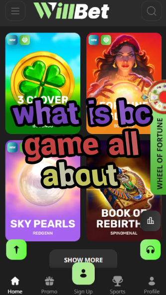 What is BC Game All About? Full Overview-vz72fvrf.com